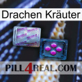 Drachen Kräuter 37